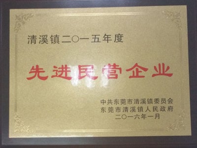 Advanced Private Enterprises in 2015