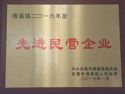 Advanced Private Enterprises in 2016