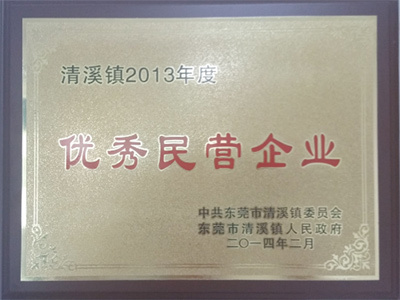 Advanced Private Enterprises in 2013